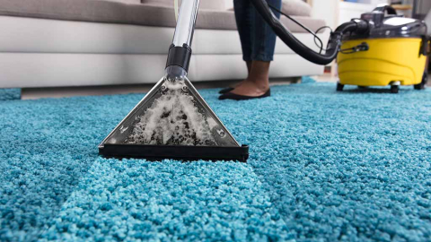 Carpet washing and maintenance